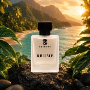 Brume men's perfume by ELIRIUS